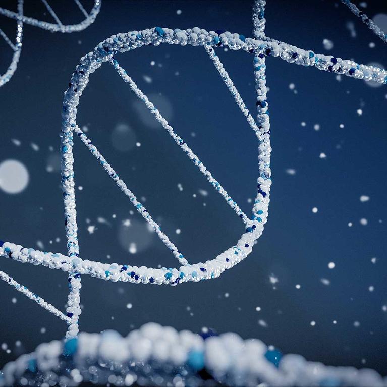 dna strands (c) brano unsplash