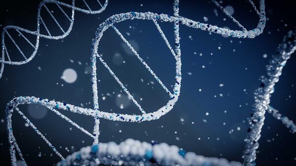 dna strands (c) brano unsplash