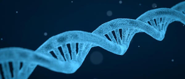Haplotype