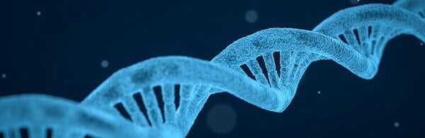 Haplotype 624px