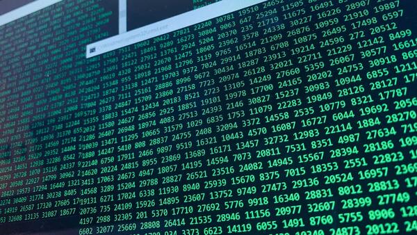 computer data photo by Tibe De Kort from Pexels
